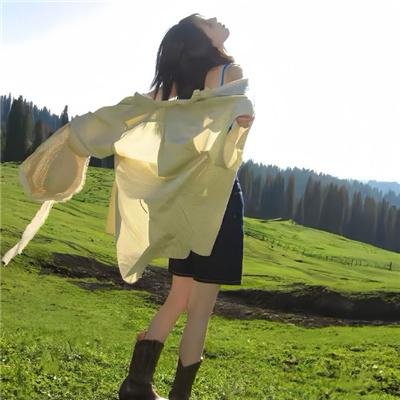 雁南飞